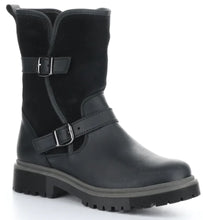 Load image into Gallery viewer, ANOVA