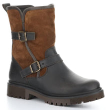 Load image into Gallery viewer, ANOVA