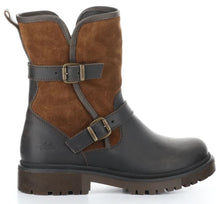 Load image into Gallery viewer, ANOVA