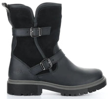 Load image into Gallery viewer, ANOVA