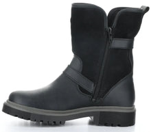 Load image into Gallery viewer, ANOVA