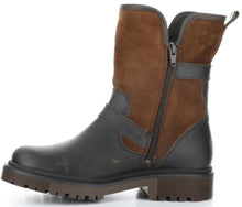 Load image into Gallery viewer, ANOVA