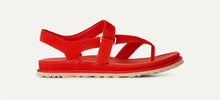 Load image into Gallery viewer, GOLDENGAZE TOE POST
