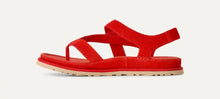 Load image into Gallery viewer, GOLDENGAZE TOE POST
