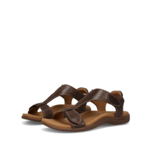 Load image into Gallery viewer, THE SHOW
