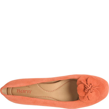 Load image into Gallery viewer, PETULA BALLET
