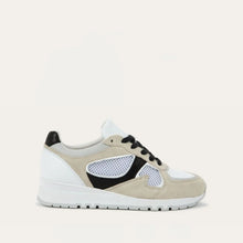 Load image into Gallery viewer, COLLINS
