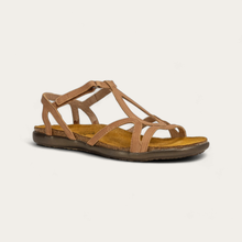 Load image into Gallery viewer, DORITH WOMEN'S
