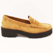 Load image into Gallery viewer, CARRERA
